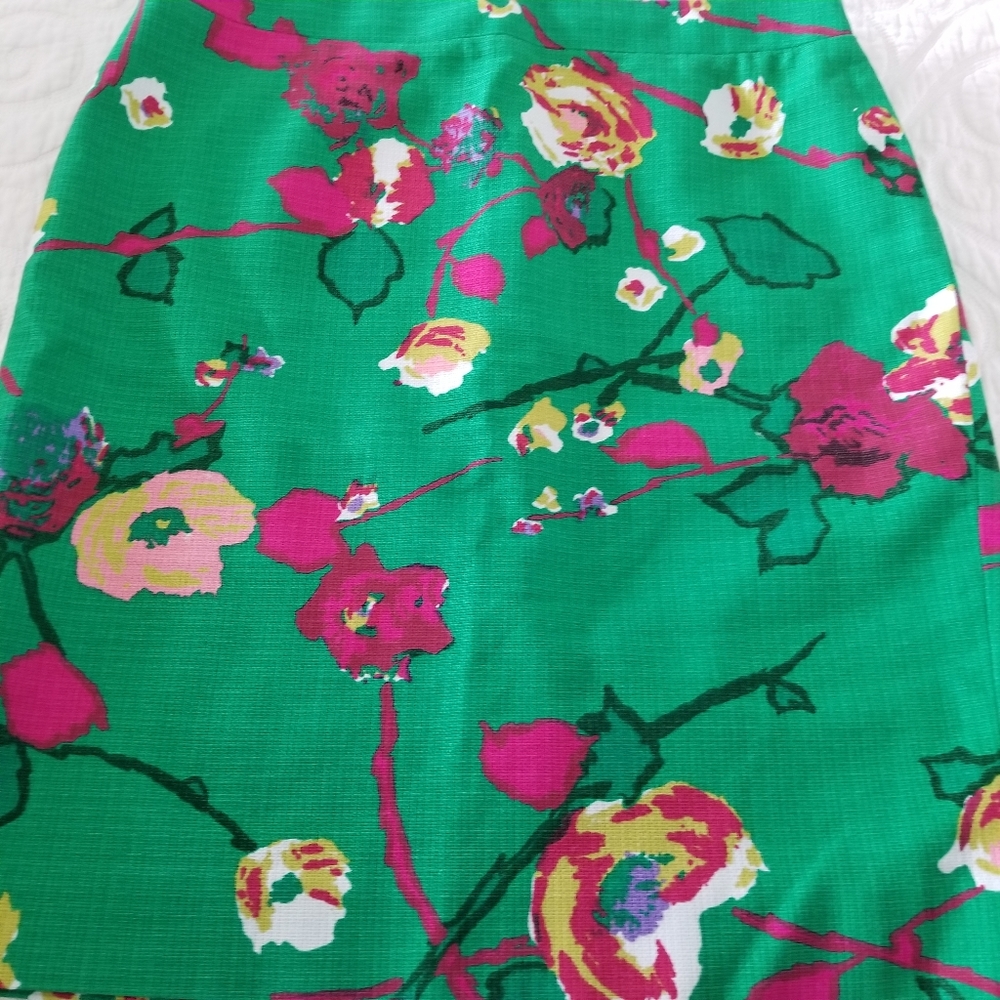 J. Crew Skirt